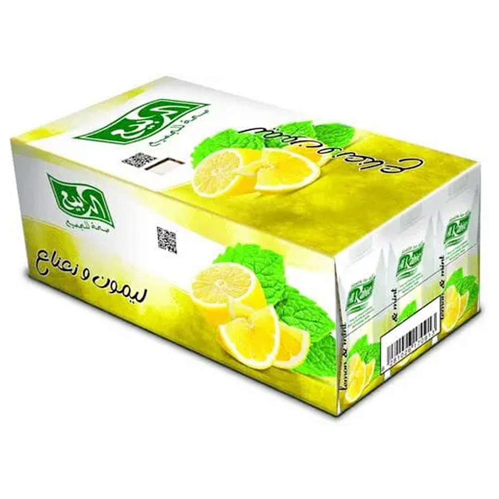 شراب الربيع ليمون ونعناع 250مل